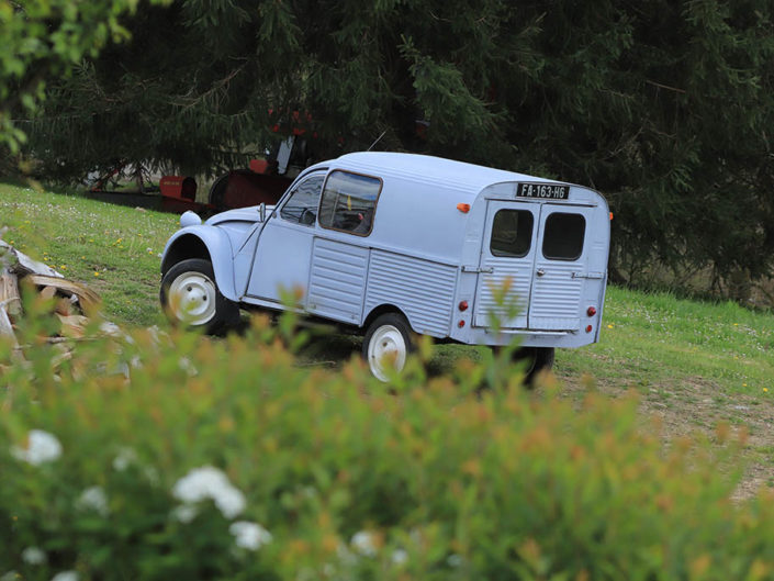 Les photos du mois: Mars 2026